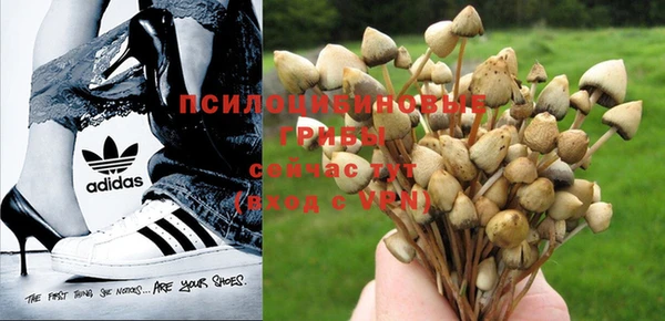 стафф Абаза