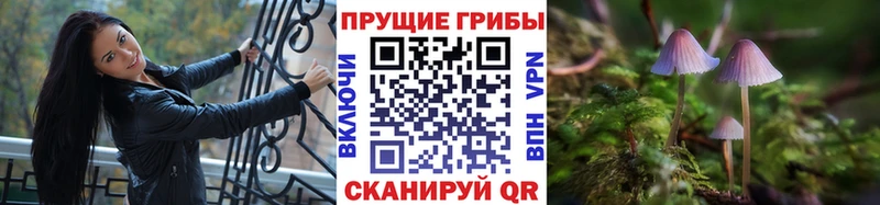 Галлюциногенные грибы мицелий  Фокино 